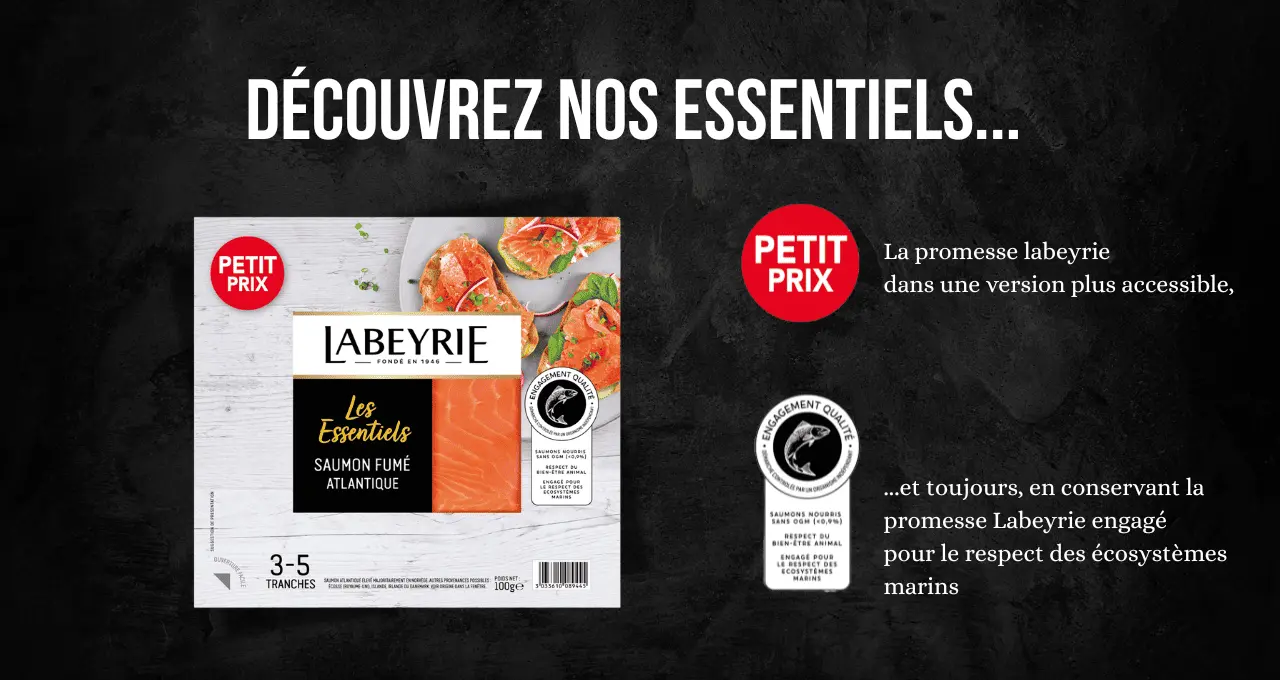 banniere-pour-les-articles